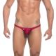 Joe Snyder Bulge Capri Bikini - Wine - XL