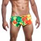 Joe Snyder Running Shorts - Spectrum